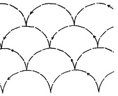 Shell - 4 rows of 2"